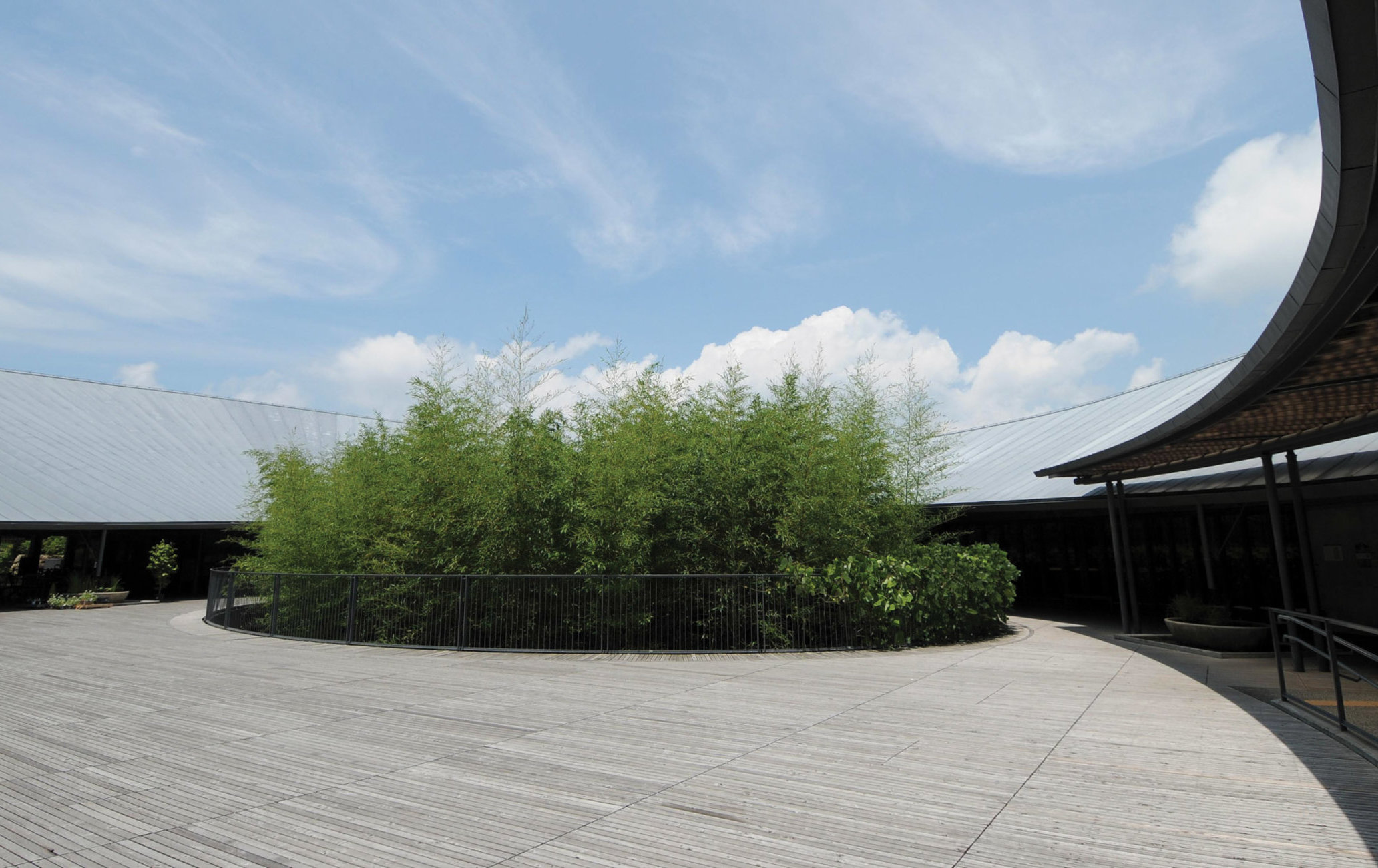 高知縣立牧野植物園