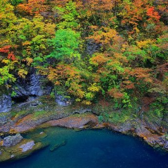 角館及周邊區域