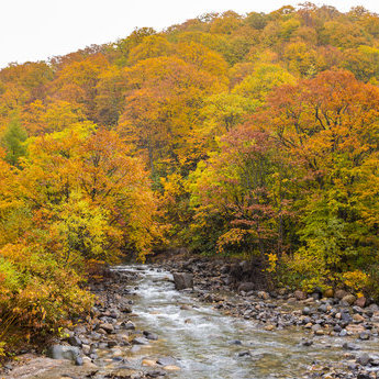 八幡平及周邊區域