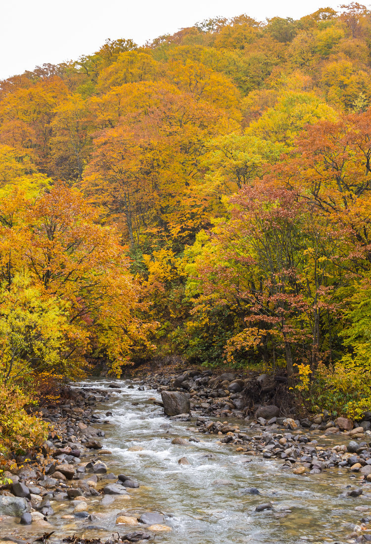 八幡平及周邊區域