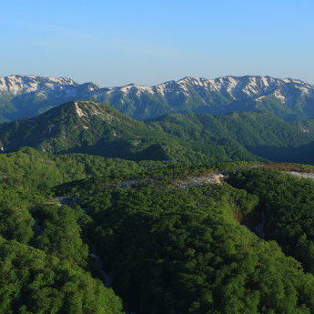 白神山地與大館
