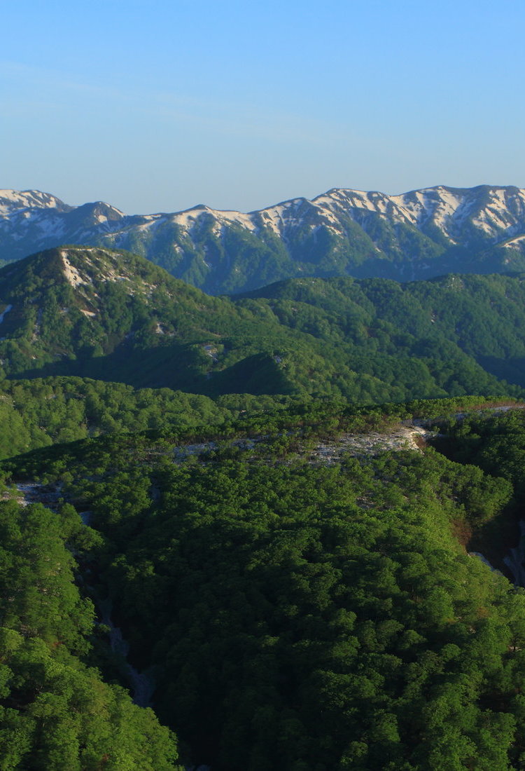白神山地與大館