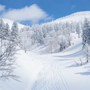 十和田湖及周邊地區
