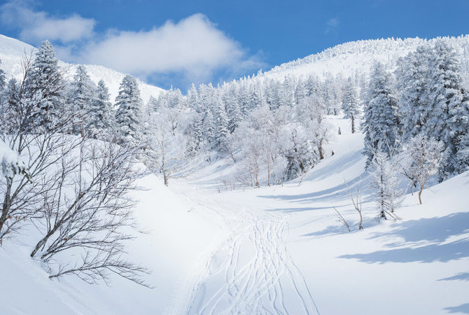 十和田湖及周邊地區
