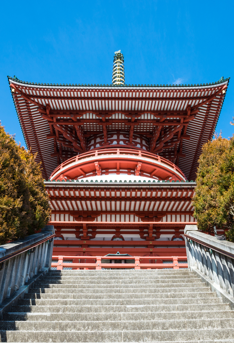 成田及周邊地區