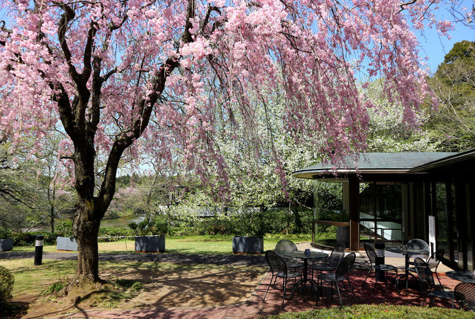 DIC川村紀念美術館