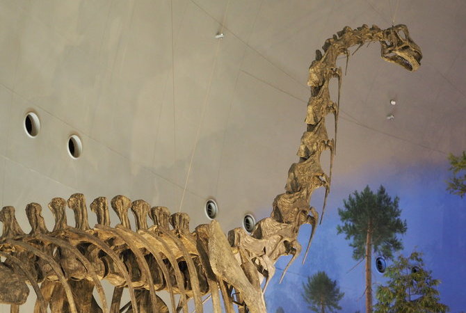 福井縣立恐龍博物館