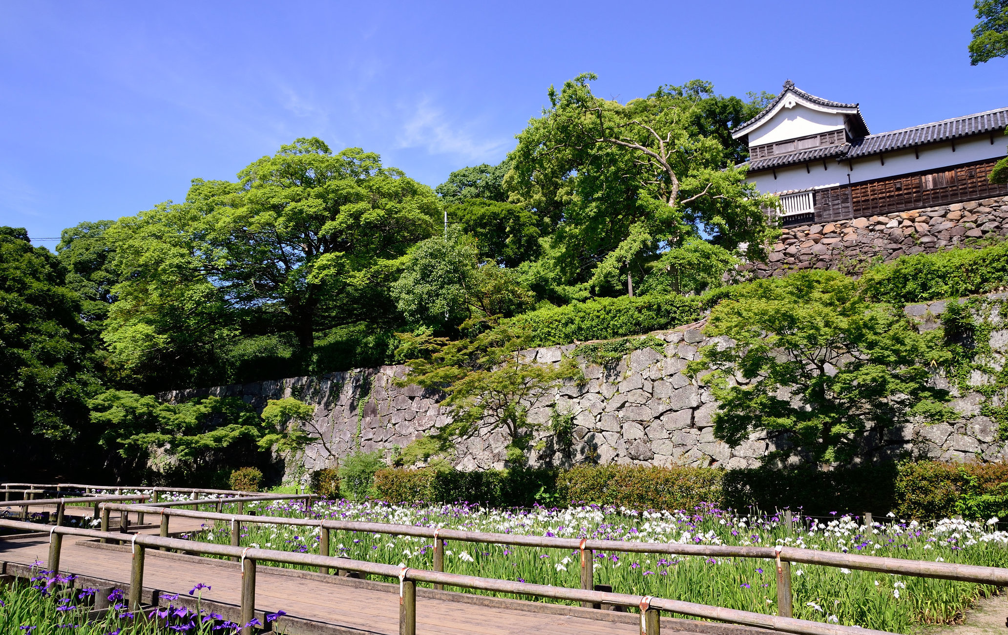 福岡城舊址·舞鶴公園