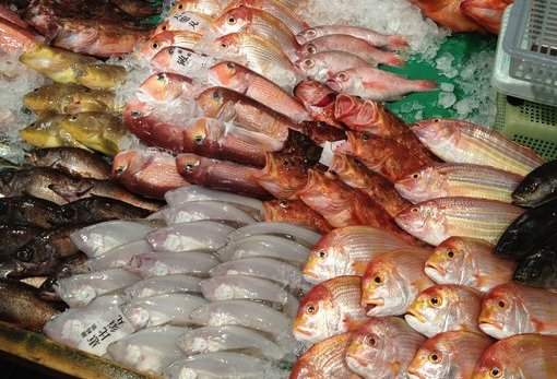 長濱鮮魚市場