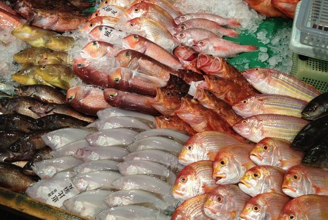 長濱鮮魚市場