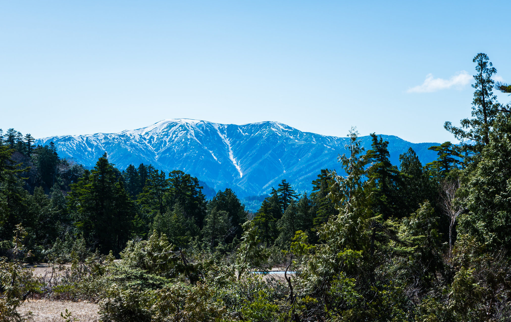 尾瀨國立公園（福島）