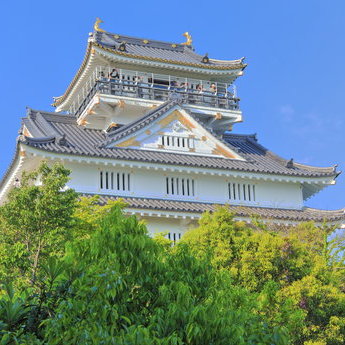 岐阜市及周邊區域