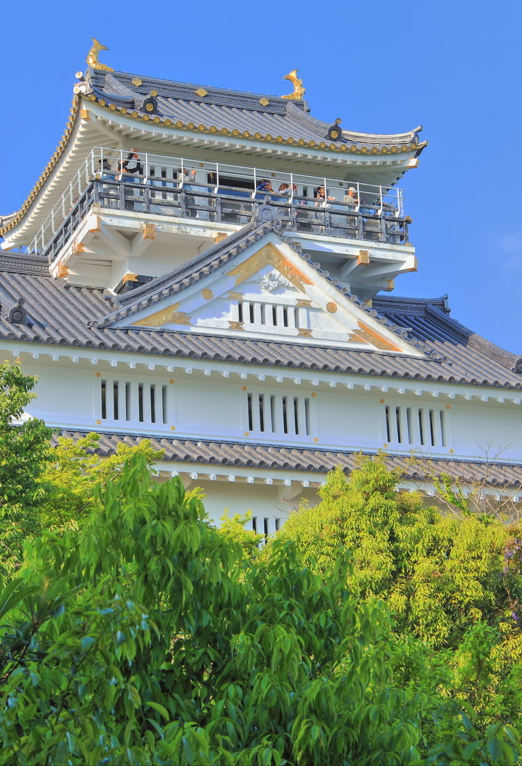 岐阜市及周邊區域