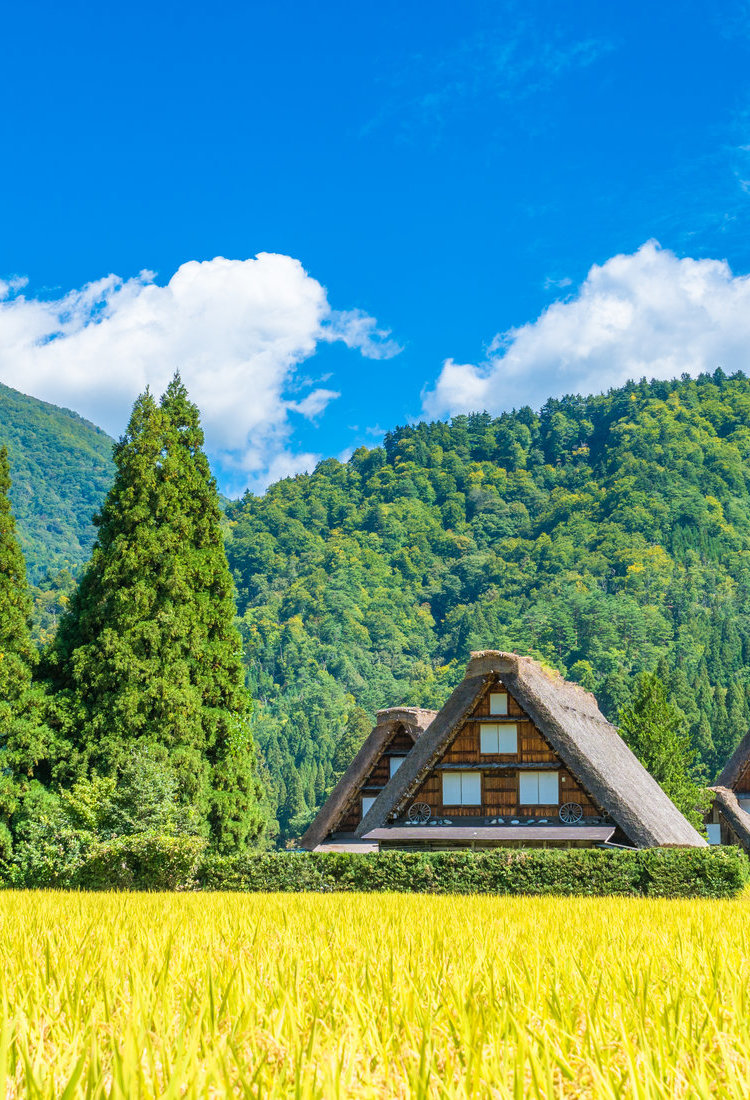 白川鄉歷史鄉村和五箇山（聯合國教科文組織）