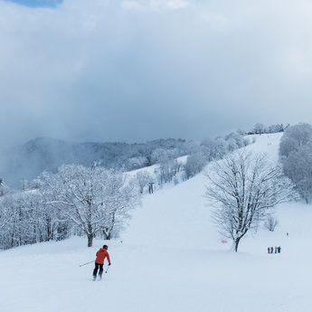 岐阜滑雪場
