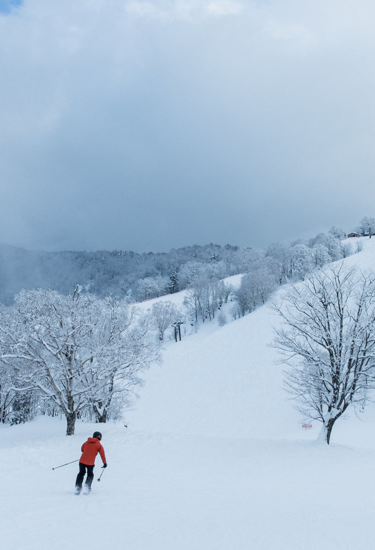 岐阜滑雪場