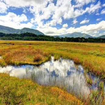 尾瀨國立公園（群馬）