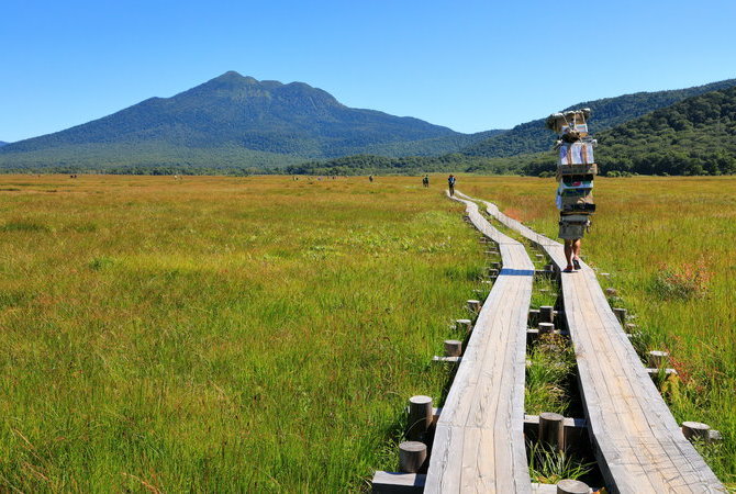尾瀨國立公園（群馬）