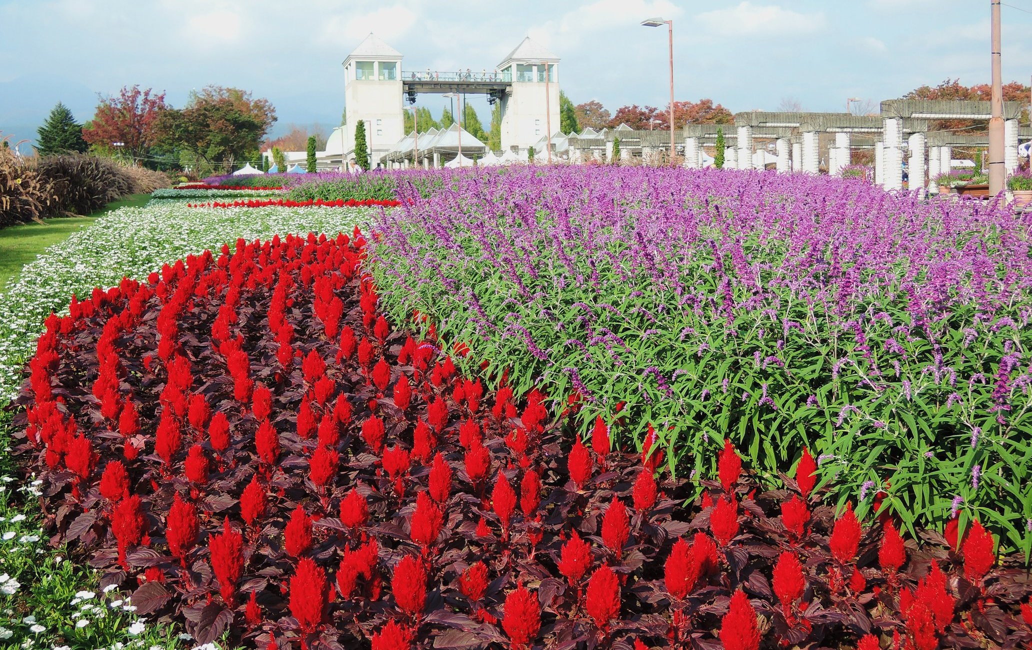 群馬花卉公園