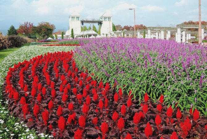 群馬花卉公園