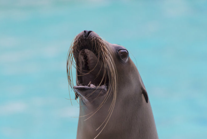 宮島水族館