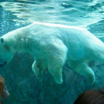 旭川與北海道北部