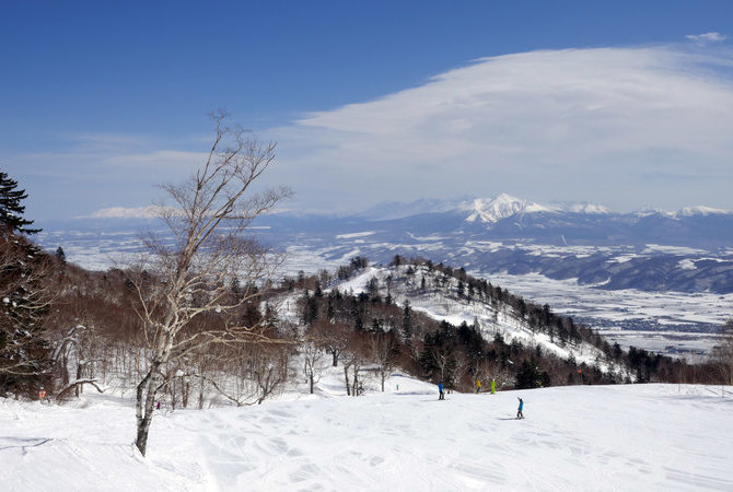 富良野滑雪場