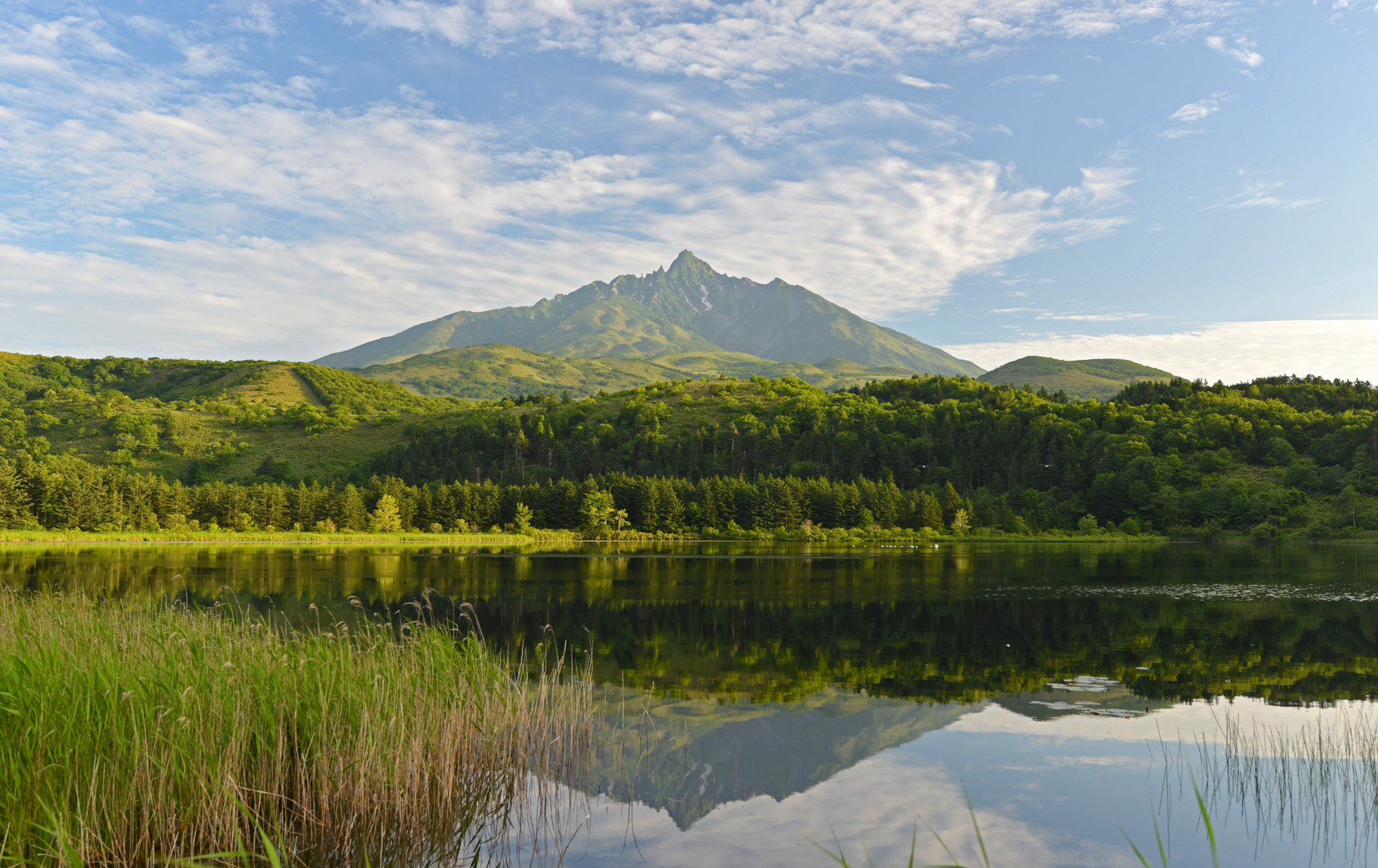 利尻島與禮文島