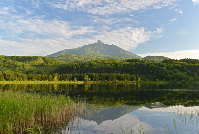 利尻島與禮文島