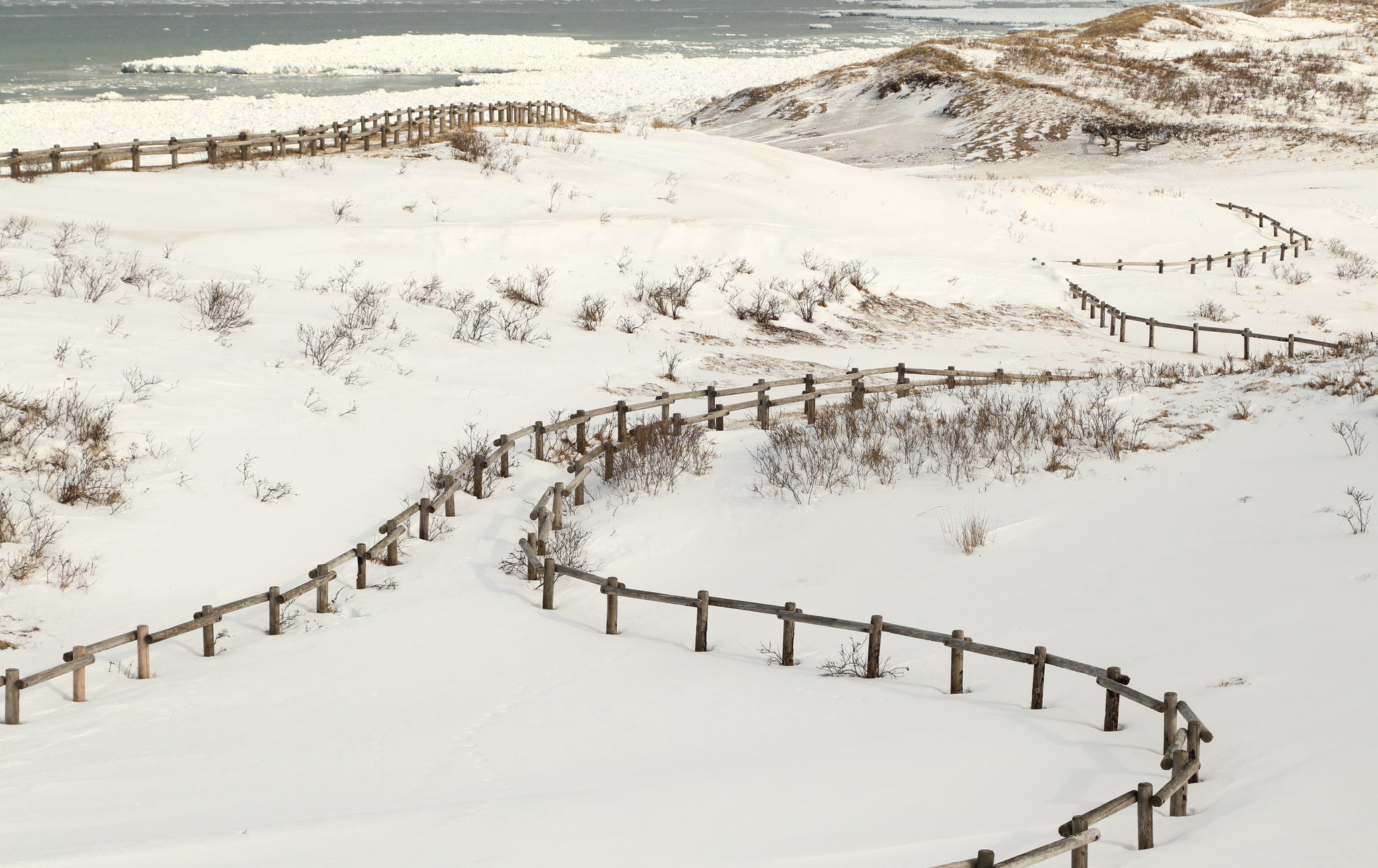 小清水原生花園