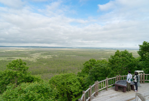 釧路濕原
