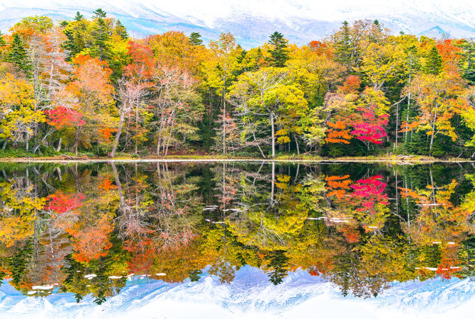 知床（聯合國教科文組織）