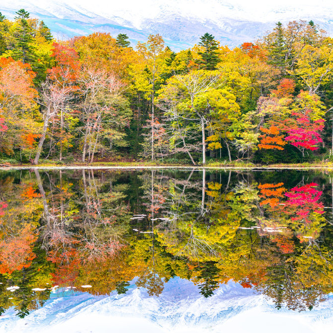 知床（聯合國教科文組織）