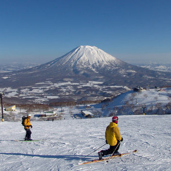 新雪谷滑雪場及周邊地區