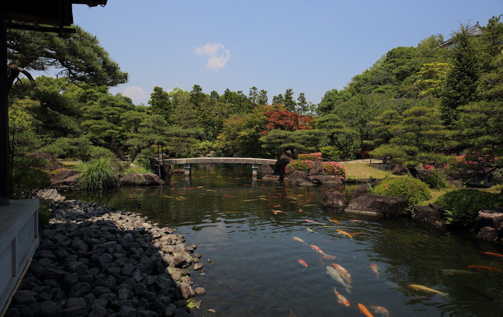 姬路城西御宅邸舊址庭園 好古園