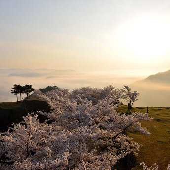 有馬溫泉與六甲山