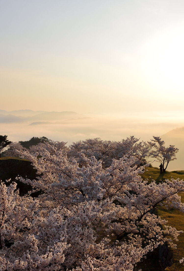有馬溫泉與六甲山