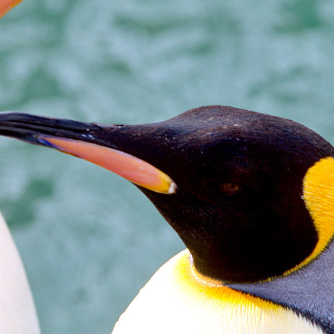 北海道冬日之旅