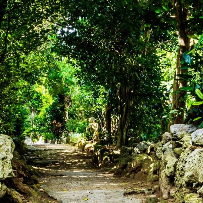 沖繩的熱帶探險