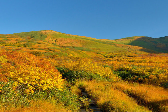東北地區的文化與友誼之旅