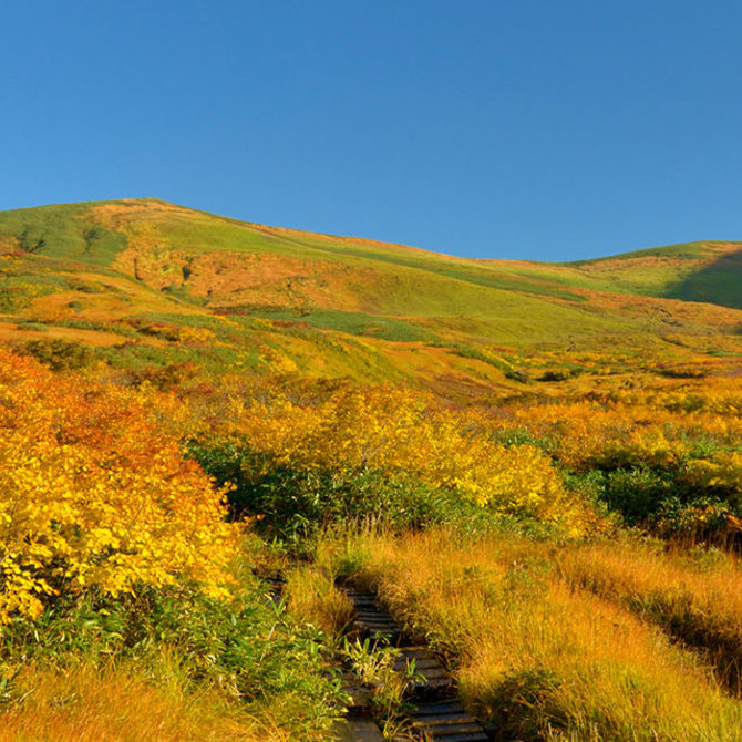 東北地區的文化與友誼之旅