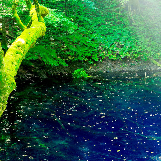 東北地區風景優美的世界遺產