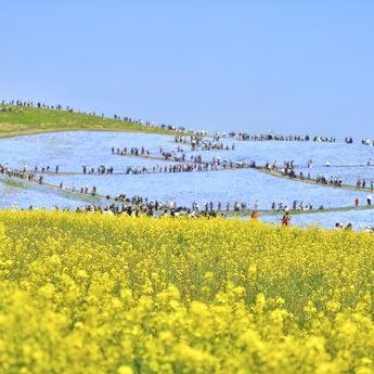 大洗與常陸那珂