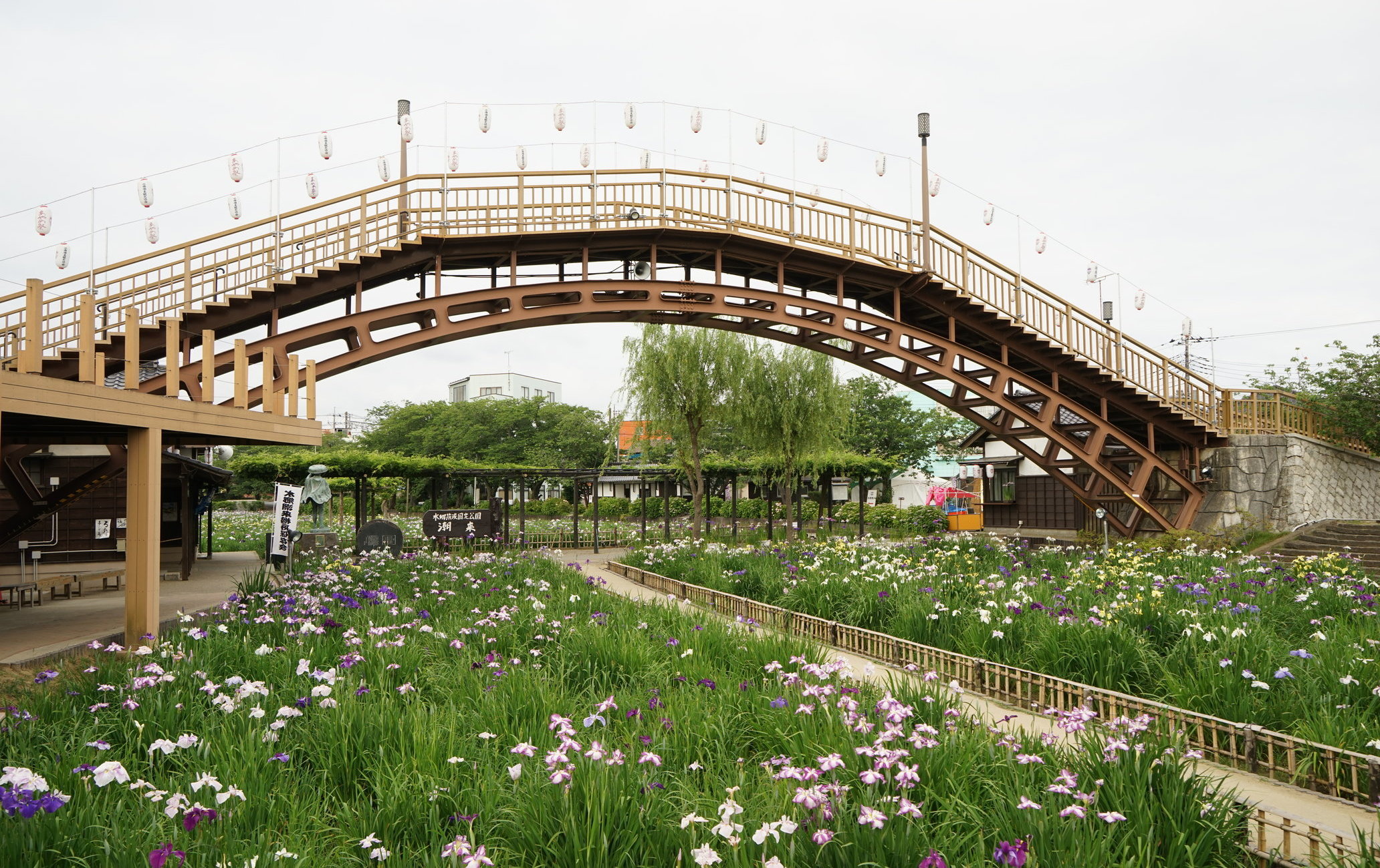 水鄉潮來菖蒲祭