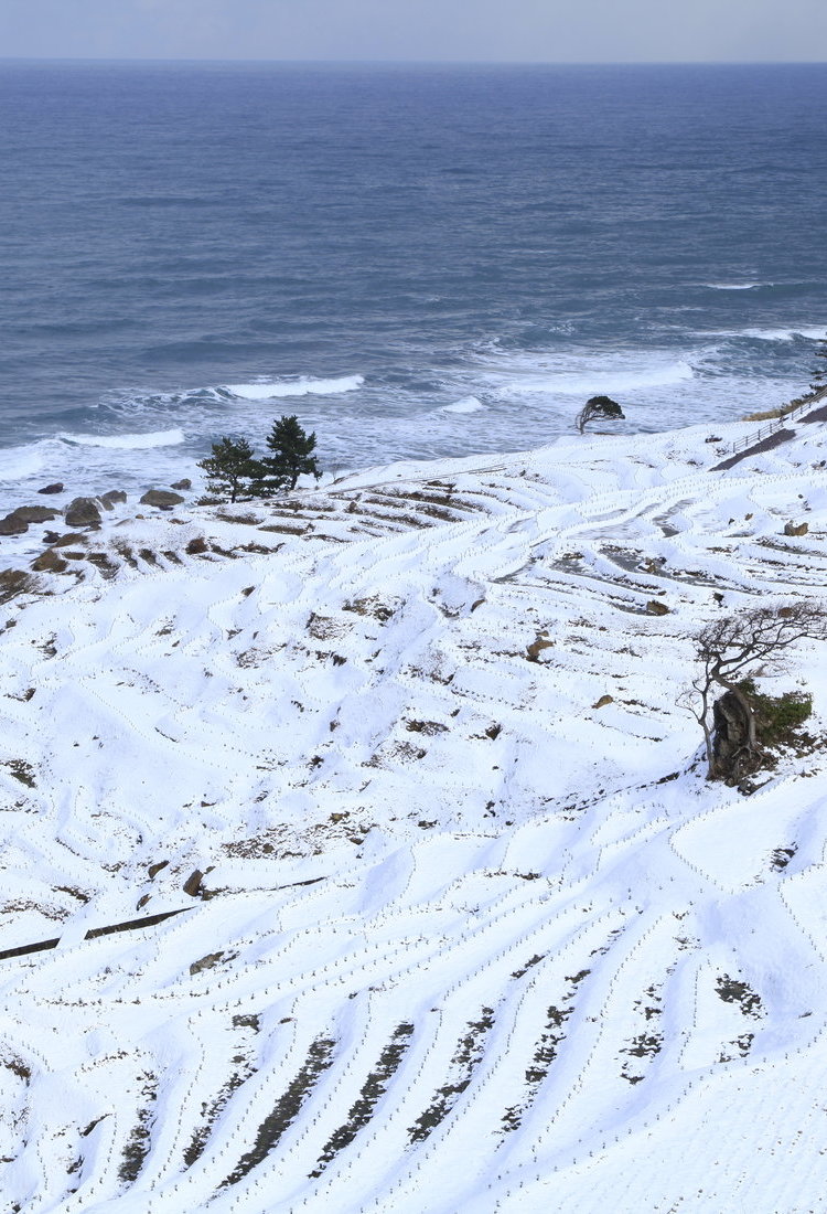 能登半島
