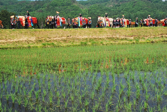 叮鈴叮鈴趕馬會