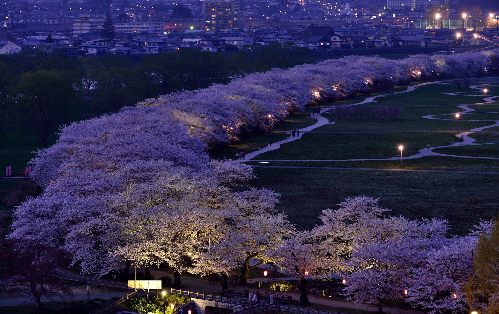 北上展勝地櫻花祭