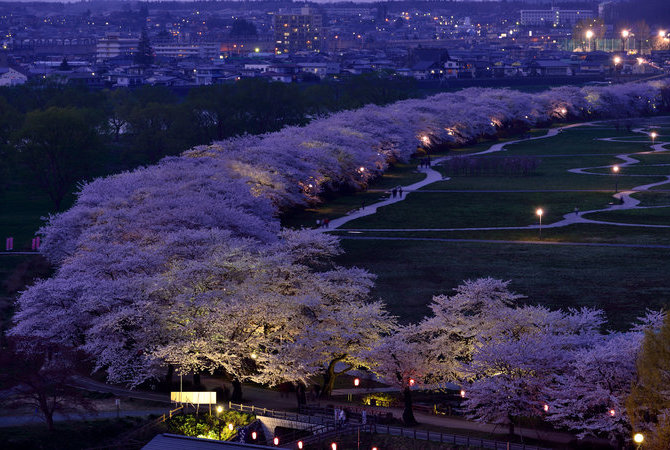 北上展勝地櫻花祭