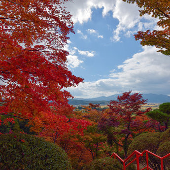 花卷及周邊區域