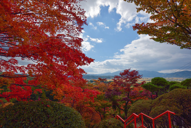 花卷及周邊區域